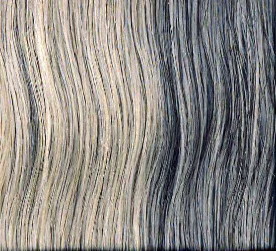 DOPRODEJ: Lisap Man - profesionální barva na vlasy pro muže, 60 ml Lisap MAN color 0.18 Silver light - stříbrná světlá barva na vlasy pro muže
